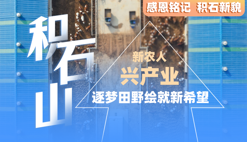 感恩铭记 积石新貌|积石山:新农人 兴产业 逐梦田野绘就新希望